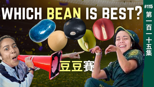 Different Bean Tai Beans | EP115 with subtitles