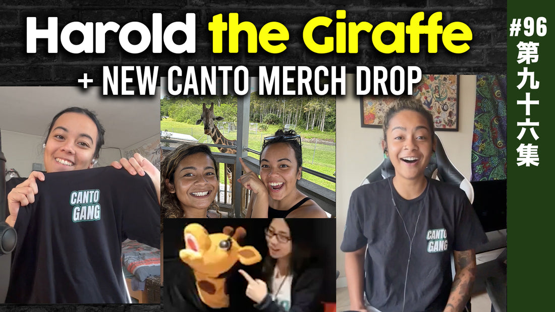 Harold the Giraffe at a Florida Drive Thru Safari | EP96